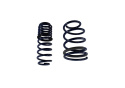 2005-2014 Mustang Spring Kit 1.5