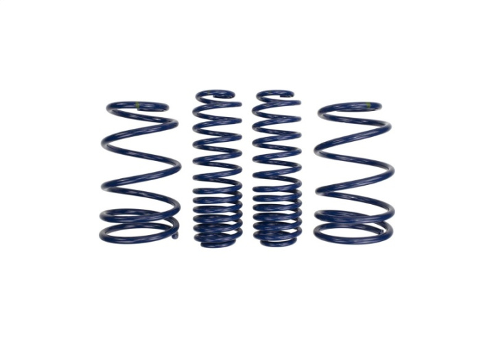 Lowering Springs (1.25