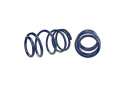 Lowering Springs (1.25