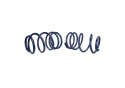 Lowering Springs (1.25