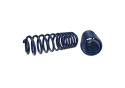 Lowering Springs (1.25