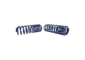 Lowering Springs (1.25