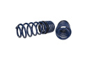 Lowering Kit 1
