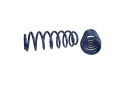 Spring Kit Cobra Jet Mustang 2005-13 Ford Racing