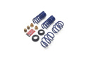 2024 -25 2.3L Mustang Track Lowering Spring Kit Ford Racing