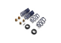2015-24 Mustang Street Lowering Spring Kit Ford Racing