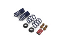 2024-25 Mustang 5.0L Track Lowering Spring Kit Ford Racing