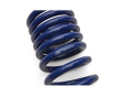 2024-25 Mustang 5.0L Track Lowering Spring Kit Ford Racing