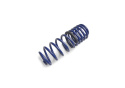 Lowering Kit Mgt/Boss/Laguna 2012-13 Ford Racing