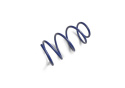 Lowering Kit Mgt/Boss/Laguna 2012-13 Ford Racing