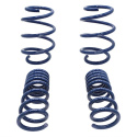 15-20 Mustang Gt350 Springs Ford Racing