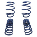 15-20 Mustang Gt350 Springs Ford Racing