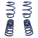 15-20 Mustang Gt350 Springs Ford Racing