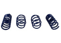 15-20 Mustang Gt350 Springs Ford Racing