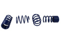 15-20 Mustang Gt350 Springs Ford Racing