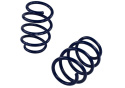 15-20 Mustang Gt350 Springs Ford Racing