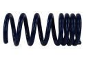 15-20 Mustang Gt350 Springs Ford Racing