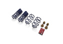 2015-23 Mustang Street Lowering Springs Ford Racing