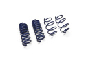 2015-23 Mustang Street Lowering Springs Ford Racing