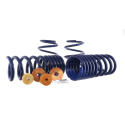 2015-23 Mustang Track Lowering Springs Ford Racing