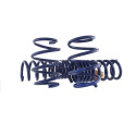 2015-23 Mustang Track Lowering Springs Ford Racing