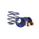 2015-23 Mustang Track Lowering Springs Ford Racing