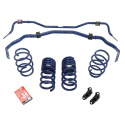 15-20 Gt350 Sway Bar And Spring Kit Ford Racing