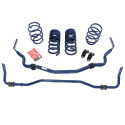 15-20 Gt350 Sway Bar And Spring Kit Ford Racing