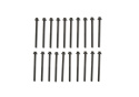 5.0L Coyote 12Mm Long Head Bolt Kit Ford Racing