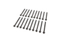 5.0L Coyote 12Mm Long Head Bolt Kit Ford Racing