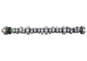 Hyd Roller Camshaft Ford Racing