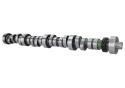 Hyd Roller Camshaft Ford Racing