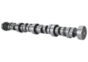 Hyd Roller Camshaft Ford Racing
