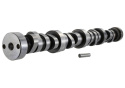 Camshaft - Hydraulic Roller Ford Racing