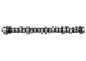 Camshaft - Hydraulic Roller Ford Racing