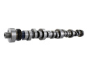Hyd Roller Camshaft Ford Racing