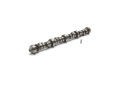 Hyd Roller Camshaft Ford Racing
