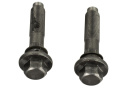 Camshaft Bolt Kit 4.6L 3V Ford Racing