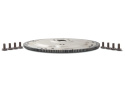5.0L Coyote Auto Trans Flexplate And Bolts 6R80 Ford Racing