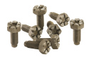 Flywheel Bolts 4.6L Manual (8 Pack) Ford Racing