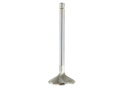 Exhaust Valve Ford Racing