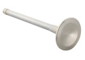 Exhaust Valve Ford Racing