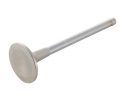 Exhaust Valve Ford Racing
