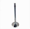 Exhaust Valve 5.2L Coyote - Qty 8 Ford Racing