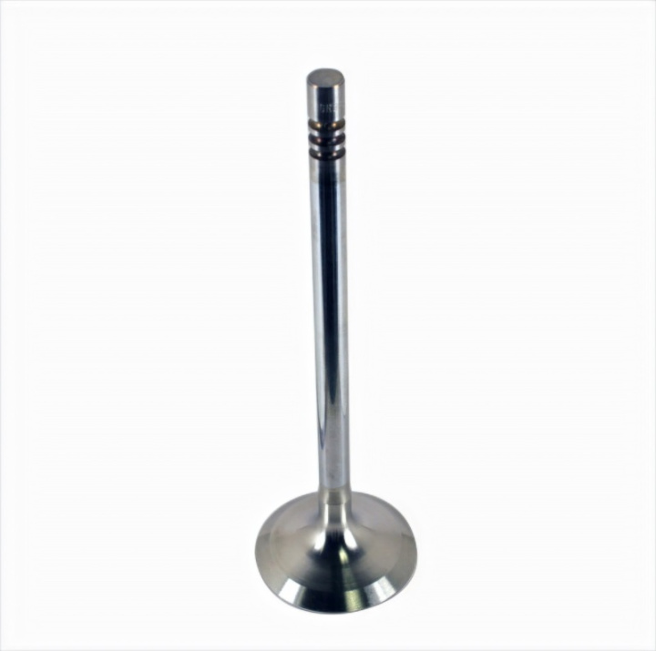 Exhaust Valve 5.2L Coyote - Qty 8 Ford Racing in the group Select car model / Ford at DDESIGN Scandinavia AB (frpM-6505-M52)