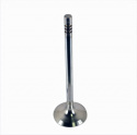 Exhaust Valve 5.2L Coyote - Qty 8 Ford Racing