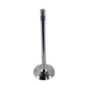 Exhaust Valve 5.2L Coyote - Qty 8 Ford Racing