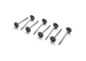 Exhaust Valve 5.2L Coyote - Qty 8 Ford Racing