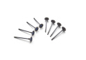 Exhaust Valve 5.2L Coyote - Qty 8 Ford Racing