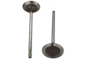 Intake Valve Light Weight 5.2L Coyote (8 Pack) Ford Racing